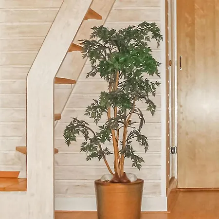 Burg-reuland With Sauna Iv Ferienhaus *