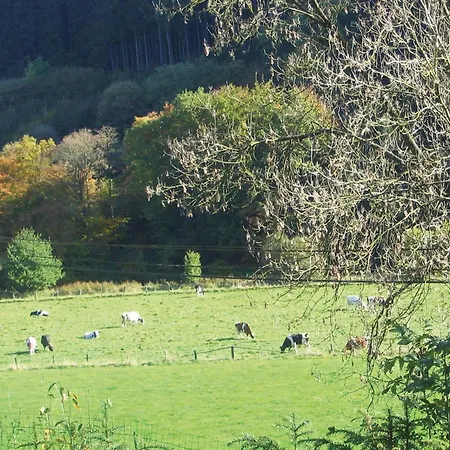 Burg-reuland With Sauna Iv * Burg Reuland