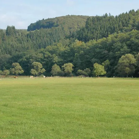 Burg-reuland With Sauna Iv Feriehus *