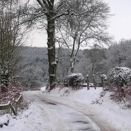 Burg-reuland With Sauna Iv Feriehus